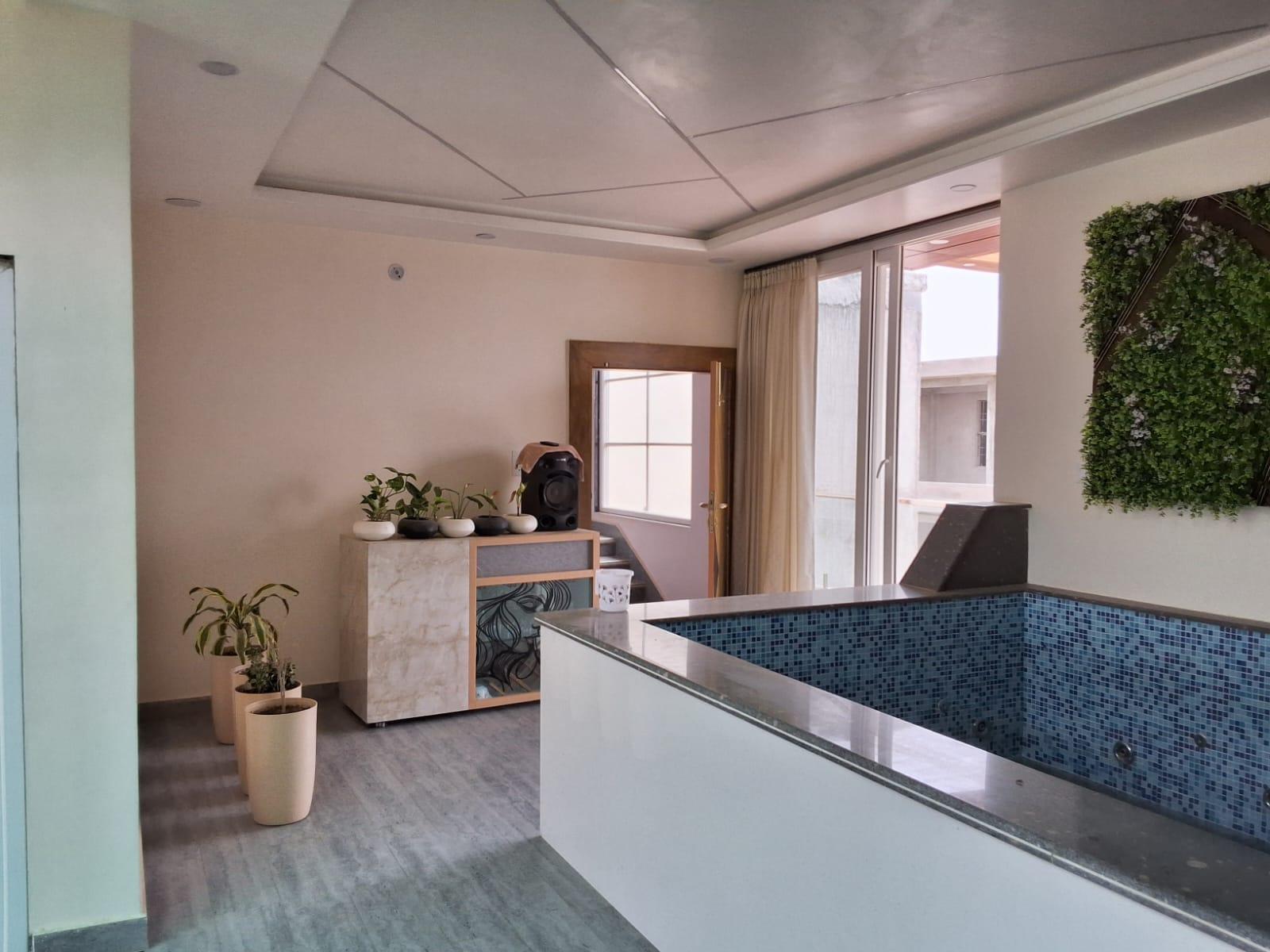 Rooftop pool area with green wall and plants